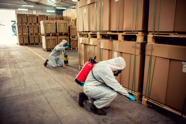 Best Pest Control Near Me  in Pottsville, AR