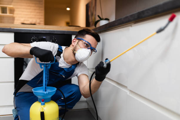 Best Best Pest Control Companies  in Pottsville, AR