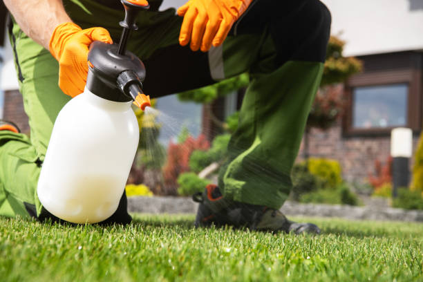 Best Residential Pest Control  in Pottsville, AR