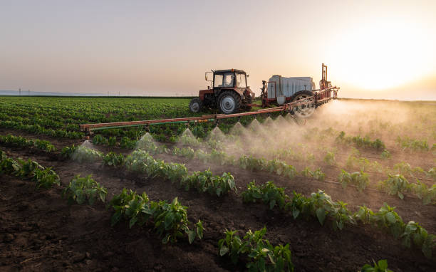 Best Pest Inspection Near Me  in Pottsville, AR