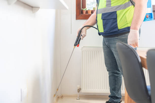 Best Termite Control Services  in Pottsville, AR