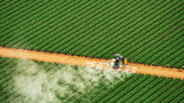 Trusted Pottsville, AR Pest Control Experts
