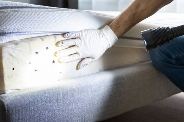 Best Commercial Pest Control Services  in Pottsville, AR