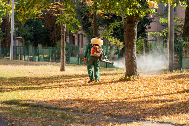 Wasp Removal Services in Pottsville, AR