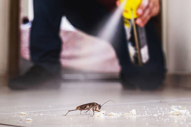 Pest Control for Restaurants in Pottsville, AR