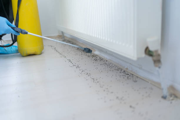 Pest Control Cost in Pottsville, AR