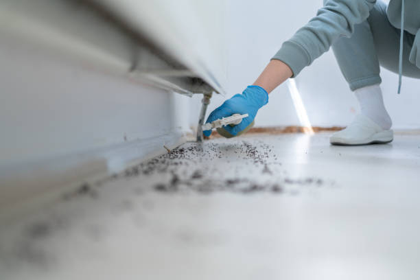 Best Exterminator Services  in Pottsville, AR